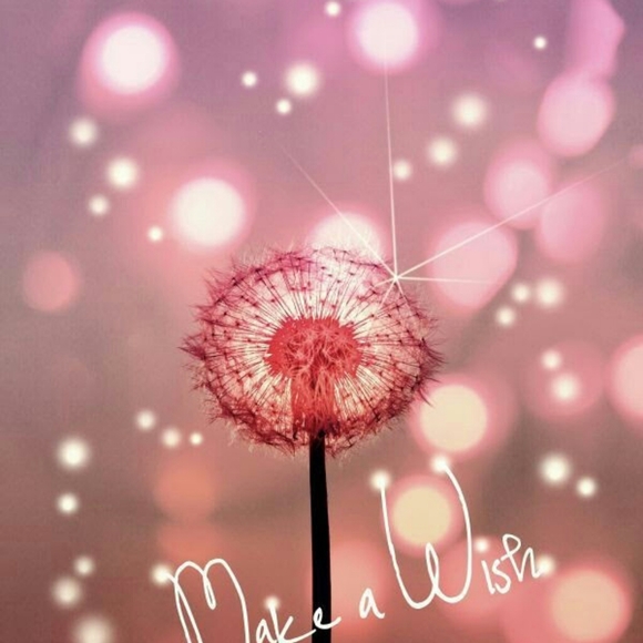 Meet your Posher, Jan - Picture 6 of 8